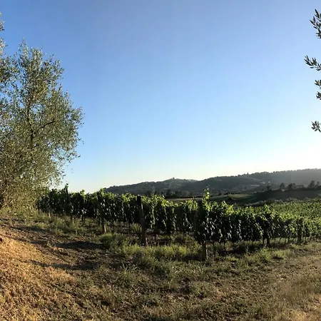 Poggio Del Drago ベッド・アンド・ブレックファスト モンテメラノ