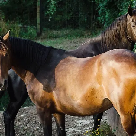 Poggio Del Drago ベッド・アンド・ブレックファスト 4*