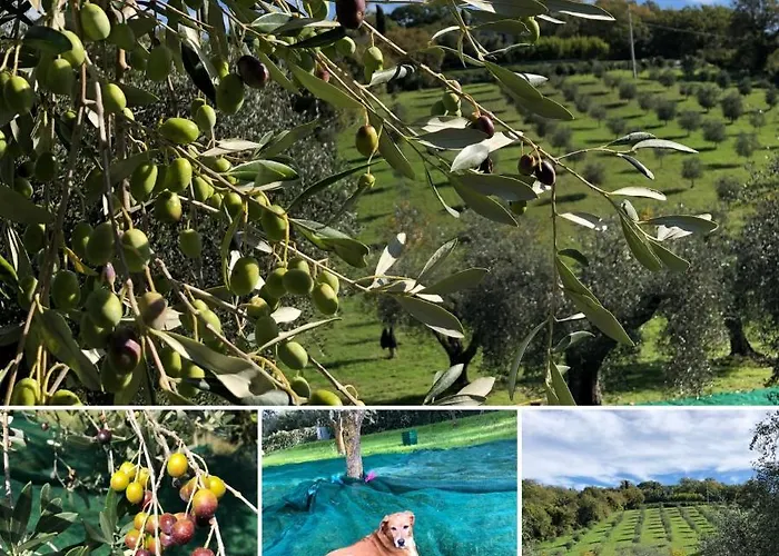 Poggio Del Drago 4* مونتيميرانو